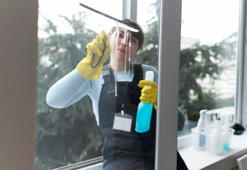 Nettoyage de vitres intérieures et extérieures à Saint-Aubin-de-Locquenay